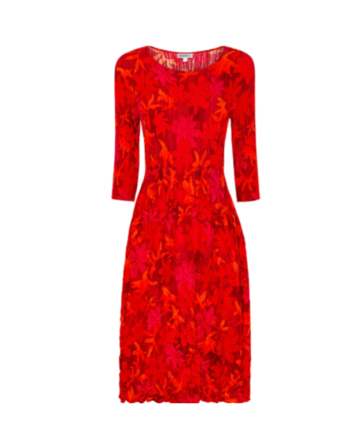 3/4 Sleeve Smash Dress