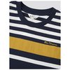 Engineered Stripe Tee