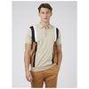 Intarsia Stripe Polo