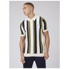 Vertical Wide Stripe Polo